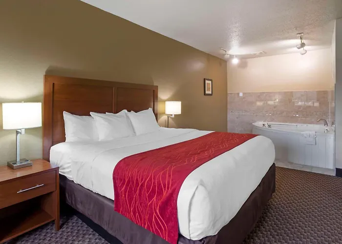 Comfort Inn Hobart-Merrillville I-65